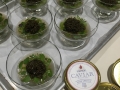 J.Skenes-Saison Reserve Caviar with herbs and wild boar consommé