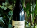MentorBocusePerSe2022-EricVitalePhotography-9