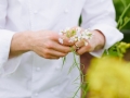 Bocuse_Shoot_One_0750