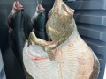 JMartinez-IMG_4398