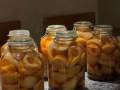 Preserved-Pears