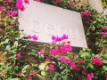 Benu