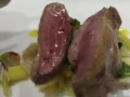 Pigeon-on-the-pass-MichaelPark