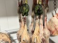 Wild-game-hanging-MichaelPark