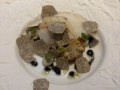 P.Lobbes-Scallop