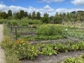 ShirAvinadav_Garden-Brae
