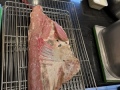 Zack-Soss-deboning-lamb-2-07-02-PM
